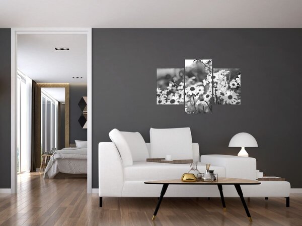 Kép - Százszorszépek (90x60 cm)