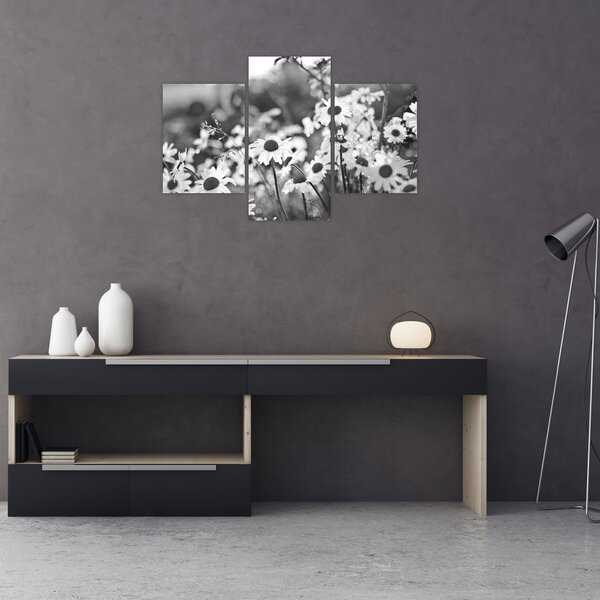 Kép - Százszorszépek (90x60 cm)