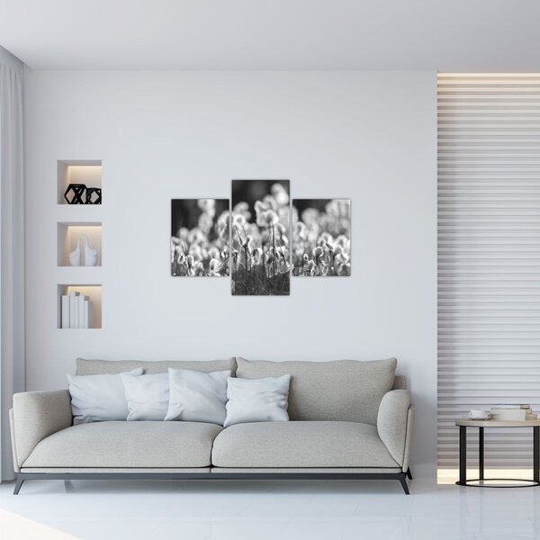Kép - Nyári rét (90x60 cm)