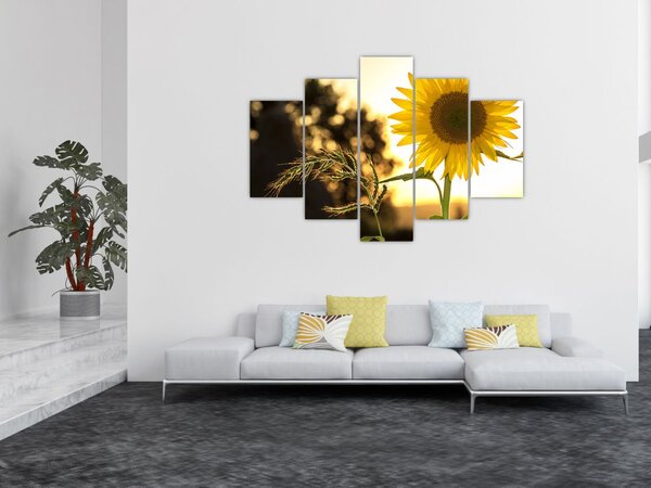 Napraforgó képe (150x105 cm)