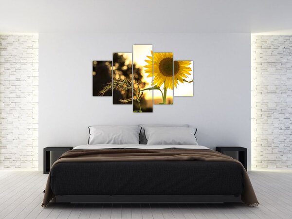 Napraforgó képe (150x105 cm)