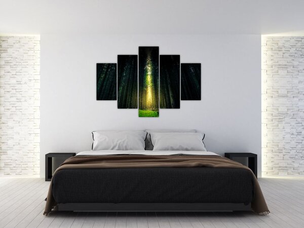 Sötét erdő képe (150x105 cm)