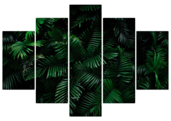 Kép - trópusi páfrány (150x105 cm)
