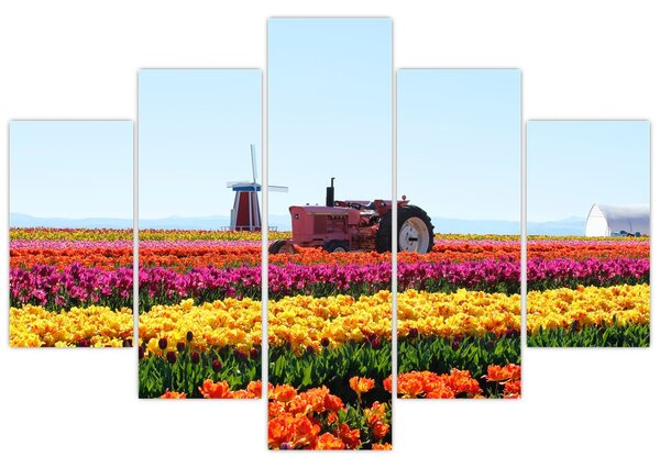 Tulipánfarm képe (150x105 cm)