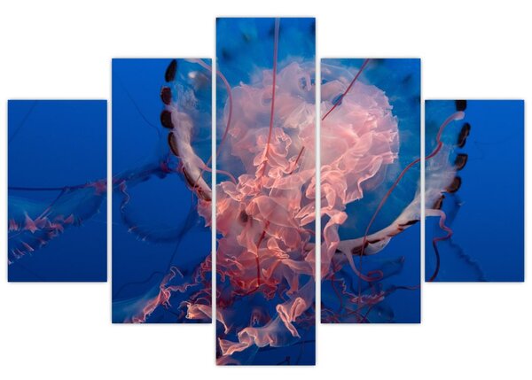 Medúza képe (150x105 cm)