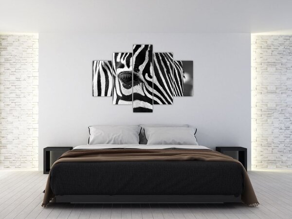 Zebra képe (150x105 cm)