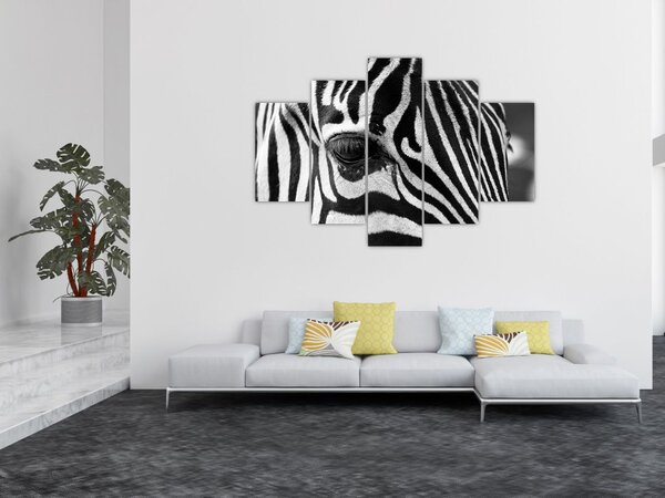 Zebra képe (150x105 cm)