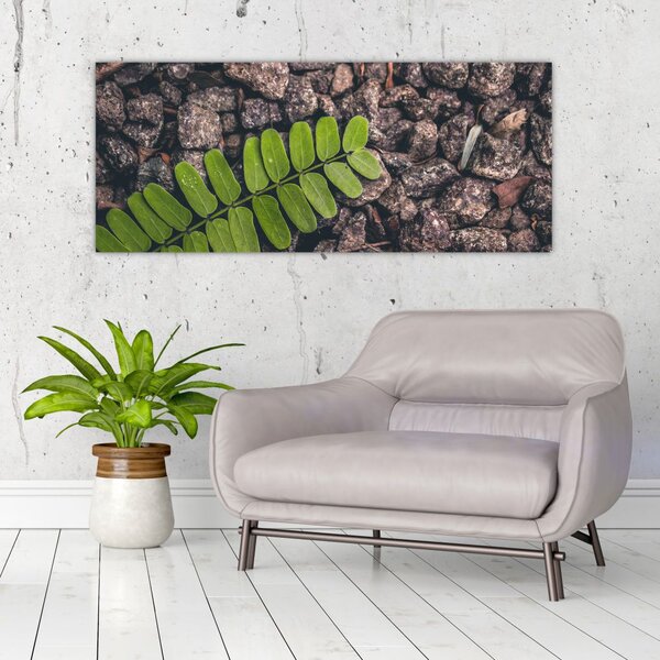 Zöld növények képe (120x50 cm)
