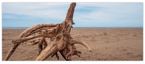 Kép - Áradás a tengeren (120x50 cm)
