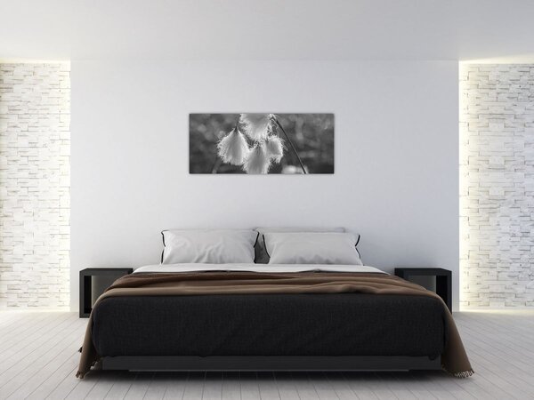 Kép - Cottongrass (120x50 cm)