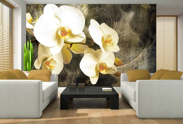 Fotótapéta - Orchidea (152,5x104 cm)