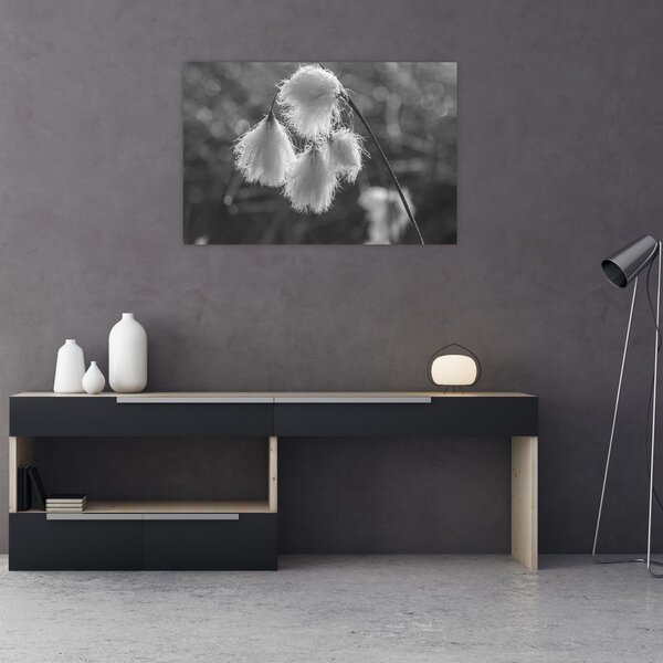 Kép - Cottongrass (90x60 cm)