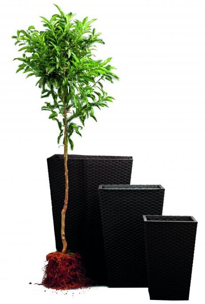 Keter Rattan kaspó S 23,6 l grafit