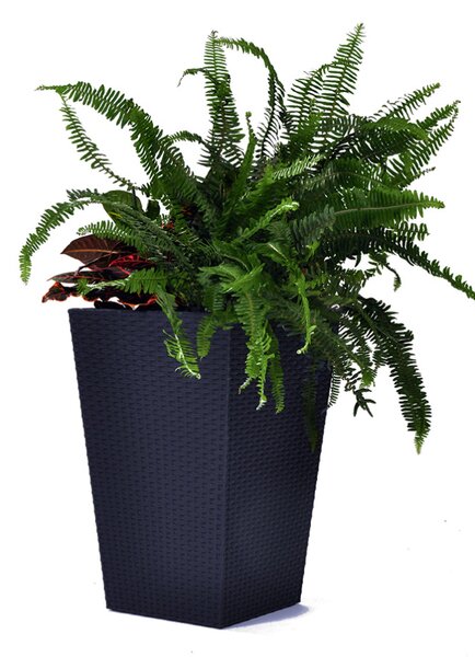 Keter Rattan kaspó S 23,6 l grafit
