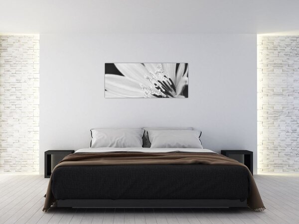 Kép - Fekete-fehér virág (120x50 cm)