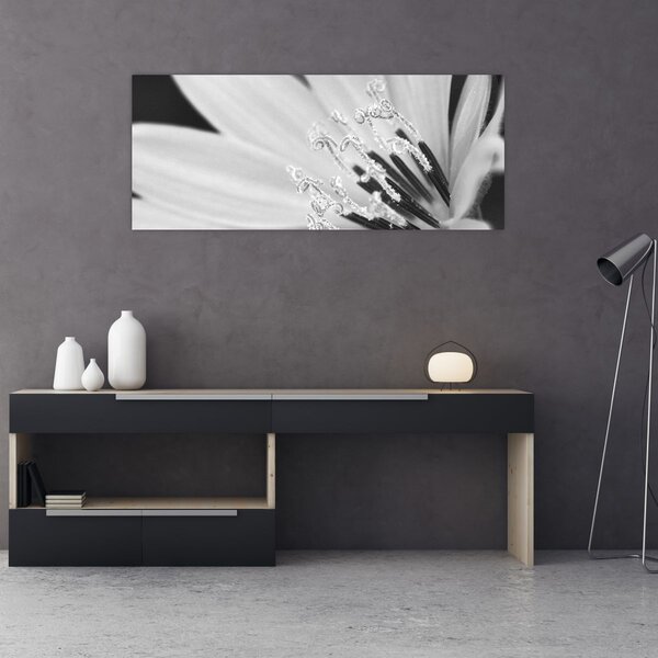 Kép - Fekete-fehér virág (120x50 cm)
