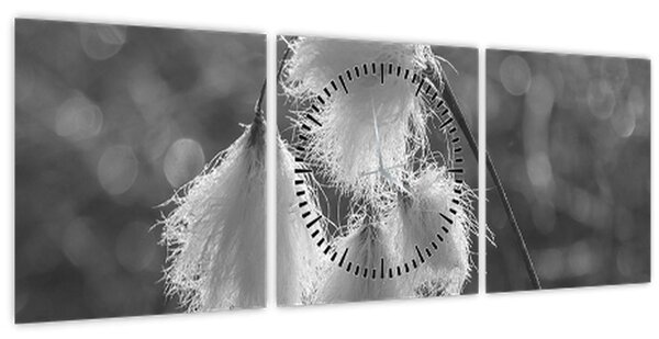 Kép - Cottongrass (órával) (90x30 cm)