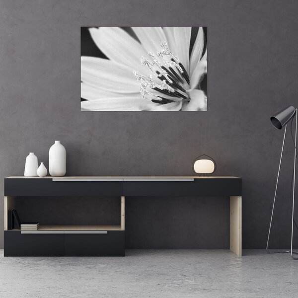 Kép - Fekete-fehér virág (90x60 cm)