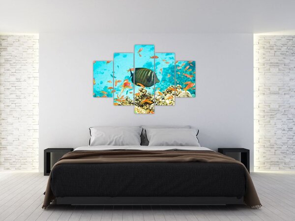 A víz alatti világ képe (150x105 cm)