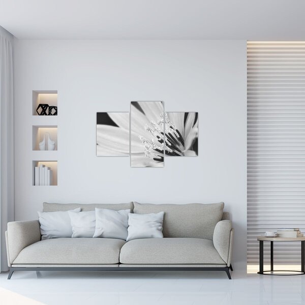 Kép - Fekete-fehér virág (90x60 cm)