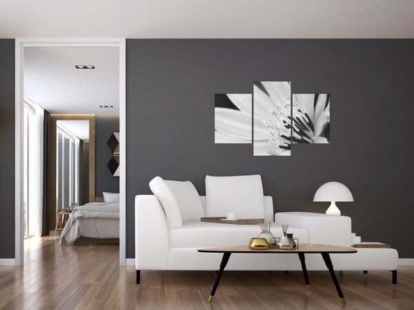 Kép - Fekete-fehér virág (90x60 cm)
