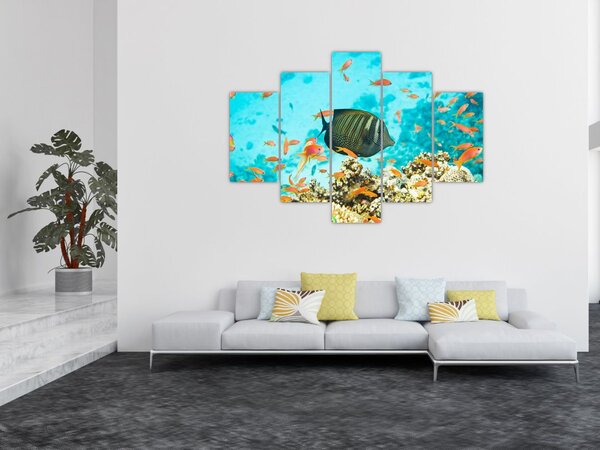 A víz alatti világ képe (150x105 cm)