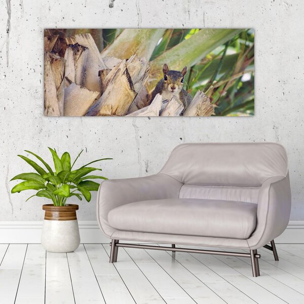 Mókus képe a fán (120x50 cm)