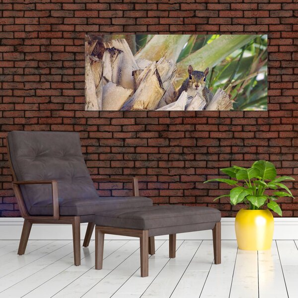 Mókus képe a fán (120x50 cm)