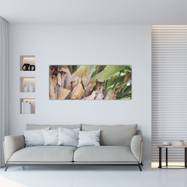 Mókus képe a fán (120x50 cm)