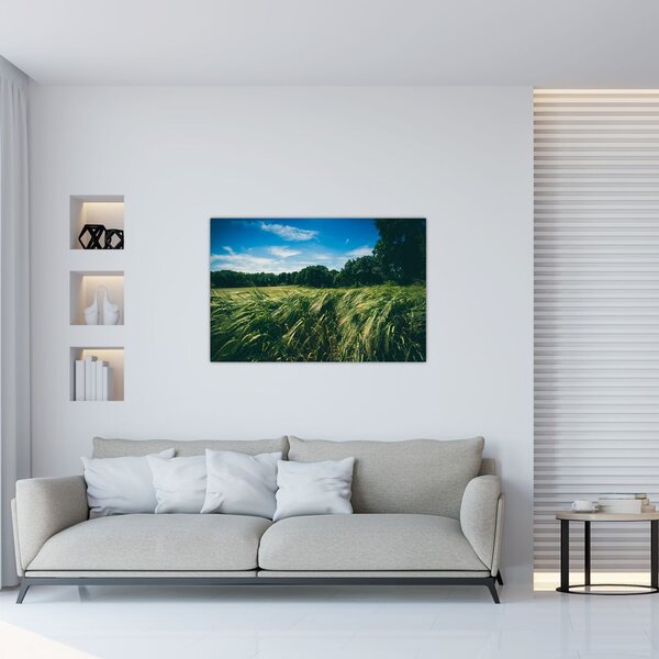 Rét és az erdő képe (90x60 cm)