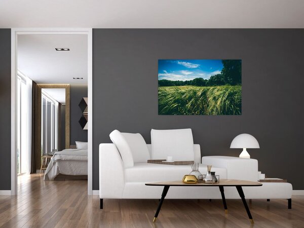 Rét és az erdő képe (90x60 cm)