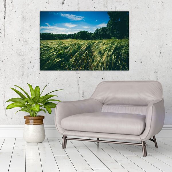 Rét és az erdő képe (90x60 cm)