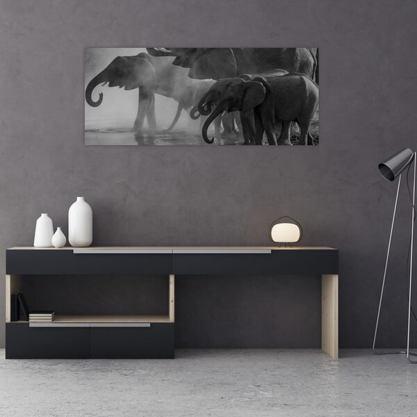 Elefánt képe - fekete fehér (120x50 cm)