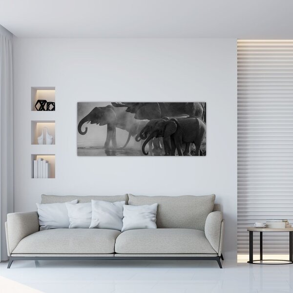Elefánt képe - fekete fehér (120x50 cm)
