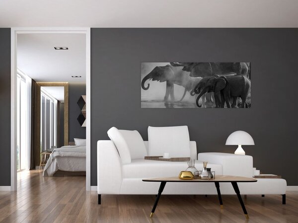 Elefánt képe - fekete fehér (120x50 cm)