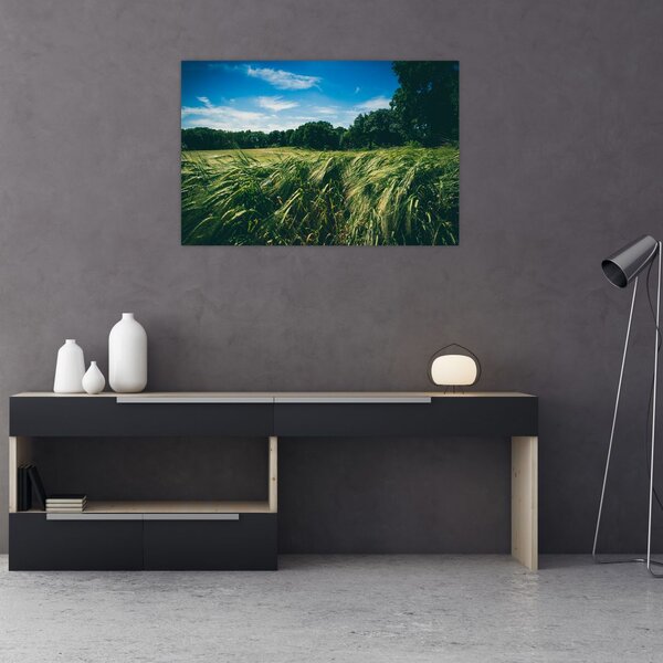 Rét és az erdő képe (90x60 cm)