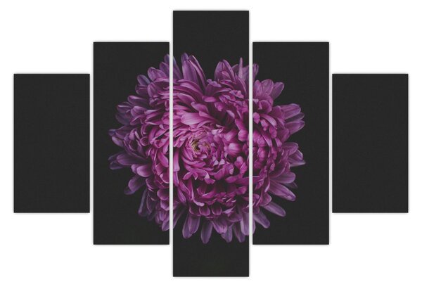Lila virág képe (150x105 cm)