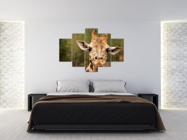 Egy zsiráf képe (150x105 cm)