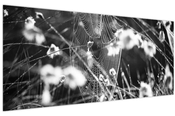 Kép - Pókháló a réten (120x50 cm)