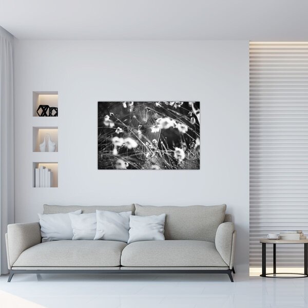 Kép - Pókháló a réten (90x60 cm)