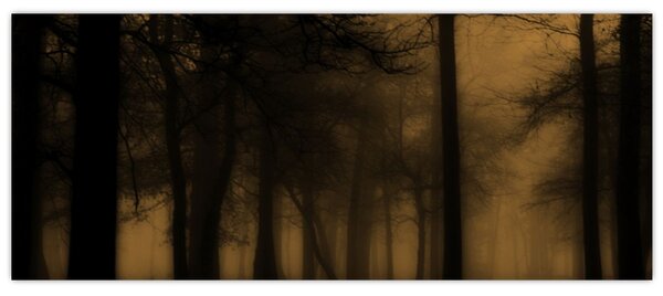 Kép - Sötét erdő (120x50 cm)