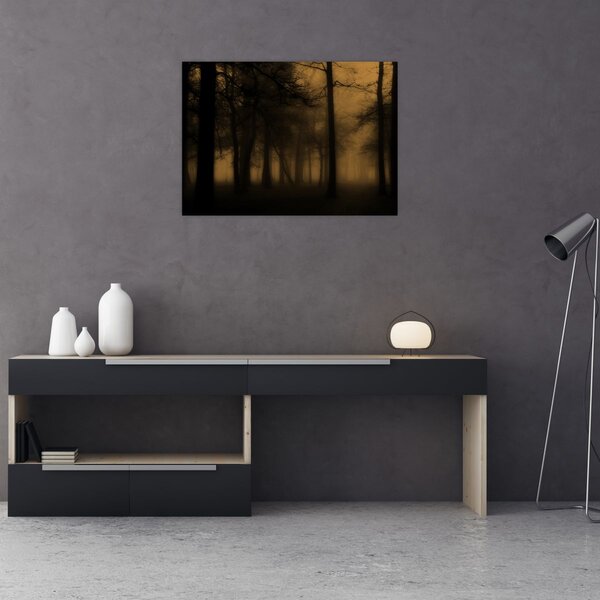 Kép - Sötét erdő (70x50 cm)