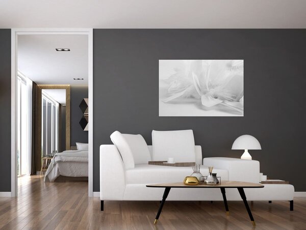 Kép - Tollak (90x60 cm)