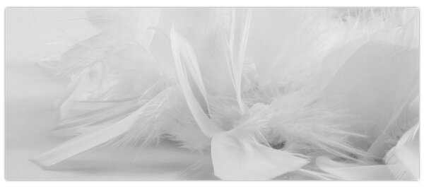 Kép - Tollak (120x50 cm)