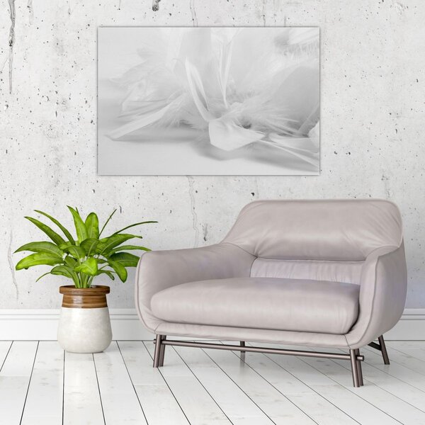 Kép - Tollak (90x60 cm)