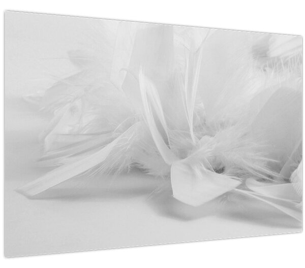 Kép - Tollak (90x60 cm)