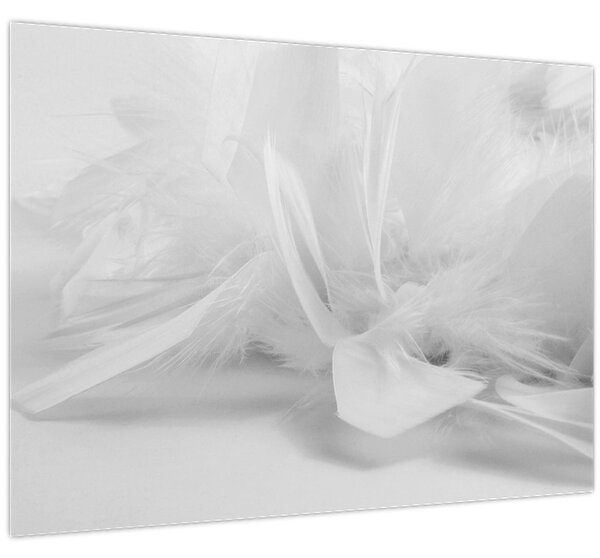 Kép - Tollak (70x50 cm)