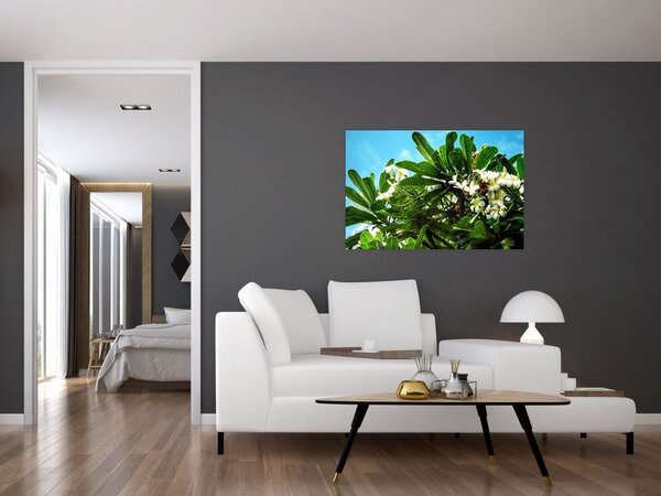 Kép - Plumeria (90x60 cm)