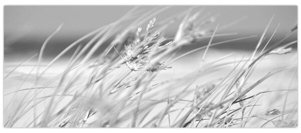Kép - Strandfű (120x50 cm)