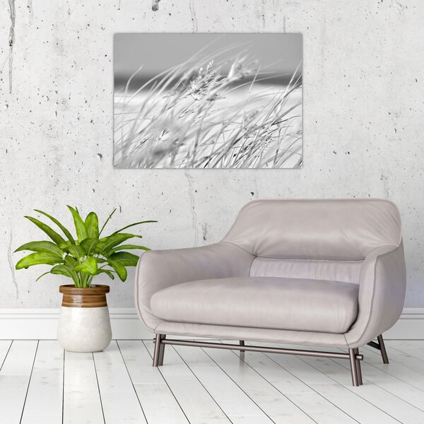 Kép - Strandfű (70x50 cm)